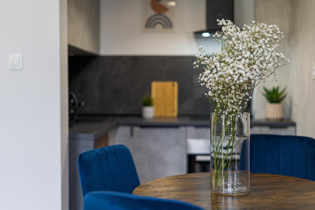 Apartment Citystay Polonia Klimatyzowany Przy Parku Łódź